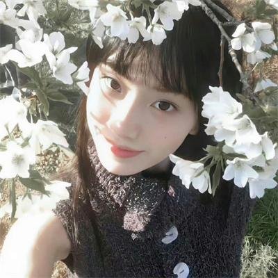野马梅莎