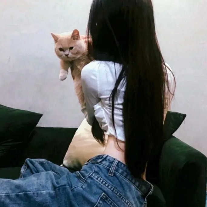 科巴尼